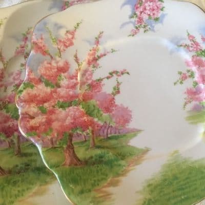 /mark_images/RoyalAlbert/Royal_Albert_Blossom_plates.jpg